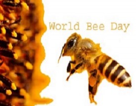 20 may bee day